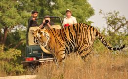 Best Luxury Tour Operators